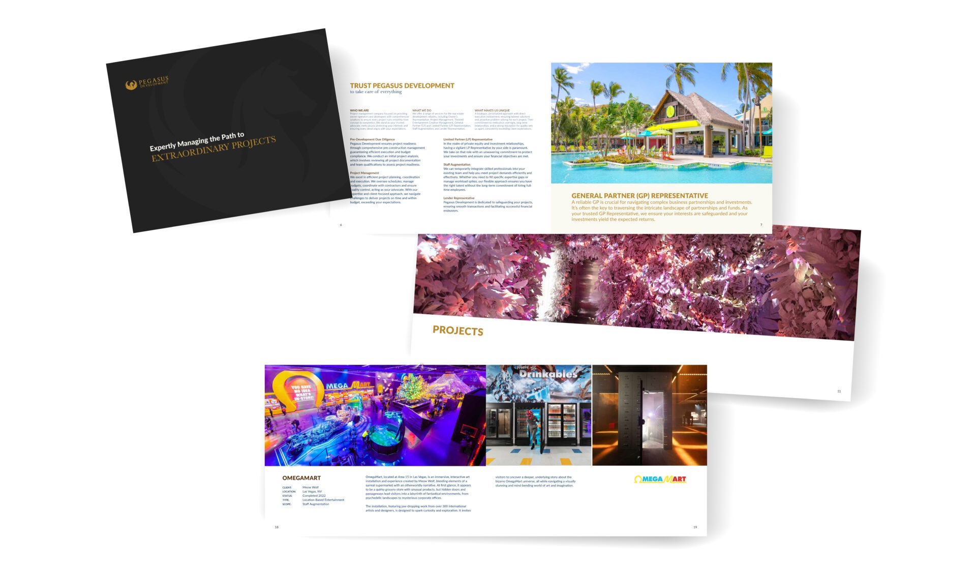 Pegasus Development rebrand by Canyon Creative in Las Vegas, Nevada.